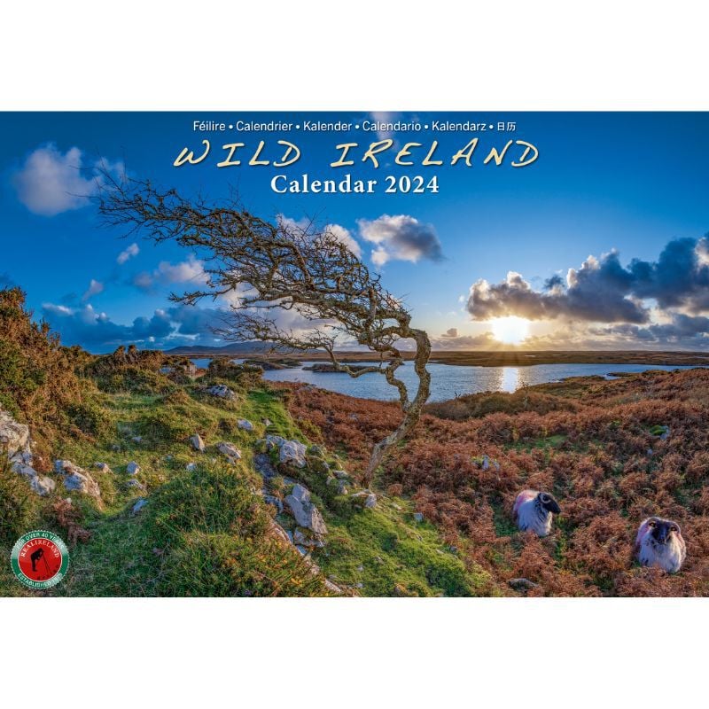 A4 Wild Ireland Calendar 2024 by Liam Blake