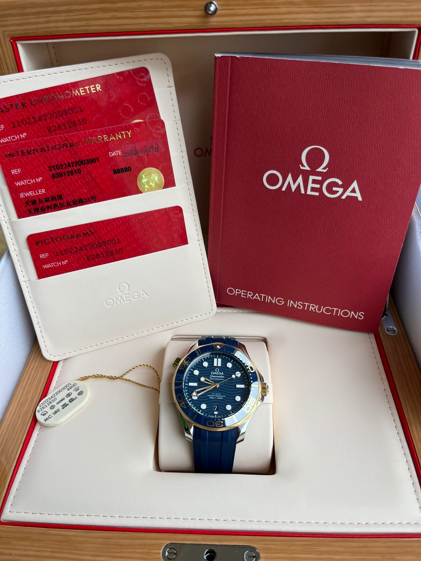 Seamaster Diver Blue yellow gold 42mm