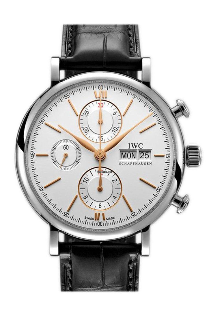 IWC Portofino Automatic Men's Watch IW391031