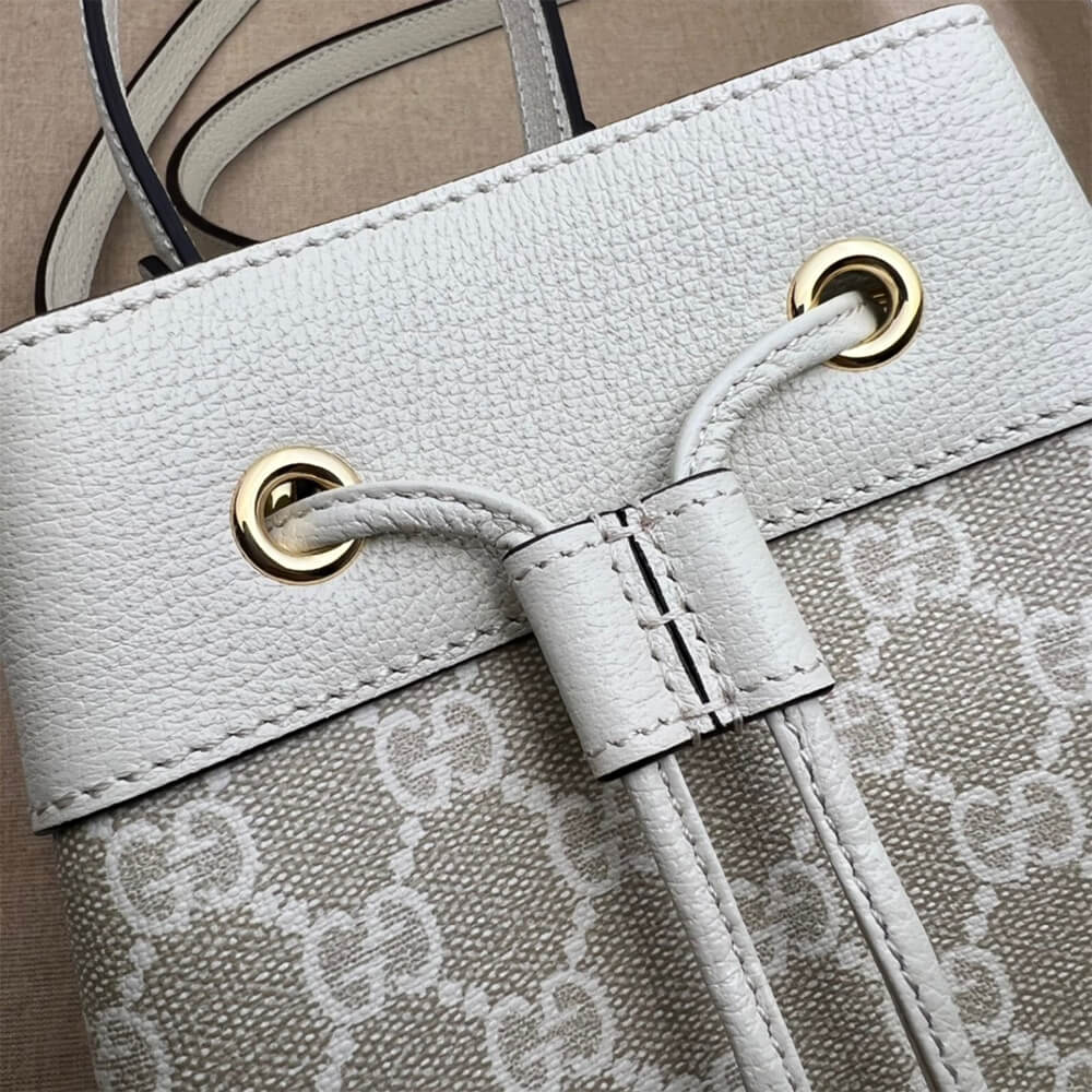 Louis Vuitton Ophidia small GG bucket bag
