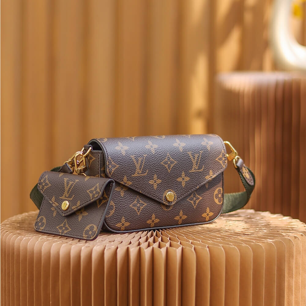 Louis Vuitton FéLICIE STRAP & GO