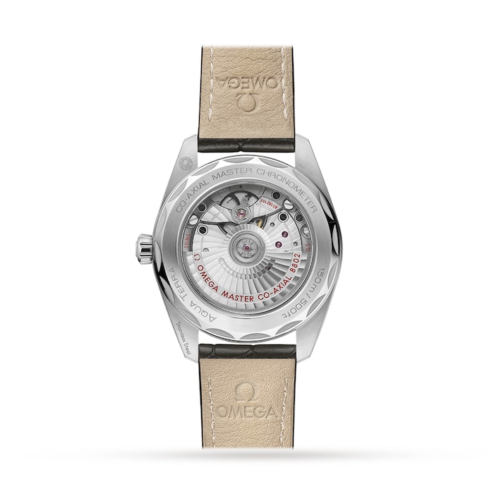 Aquaterra 150m Co-Axial Master Collection 38mm Ladies Watch