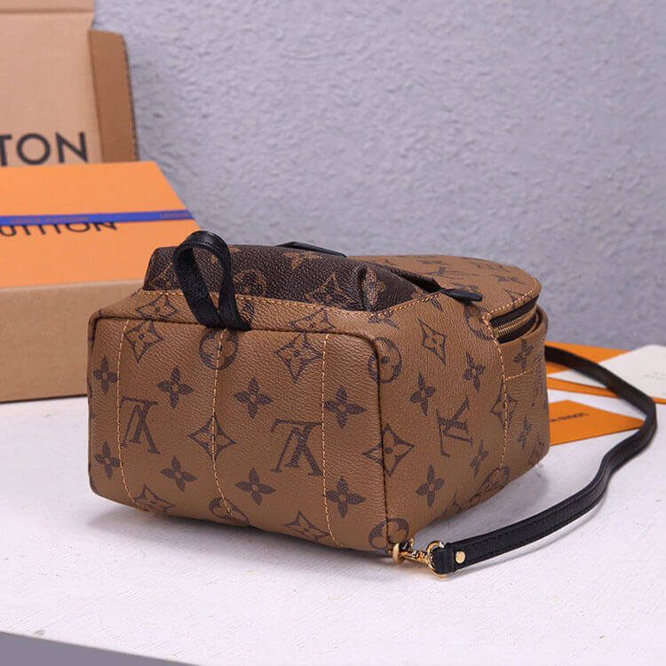 Louis Vuitton Palm Springs Mini Backpack