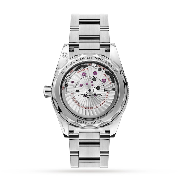 Seamaster 300 Co-Axial Master Chronometer 41mm Mens Watch