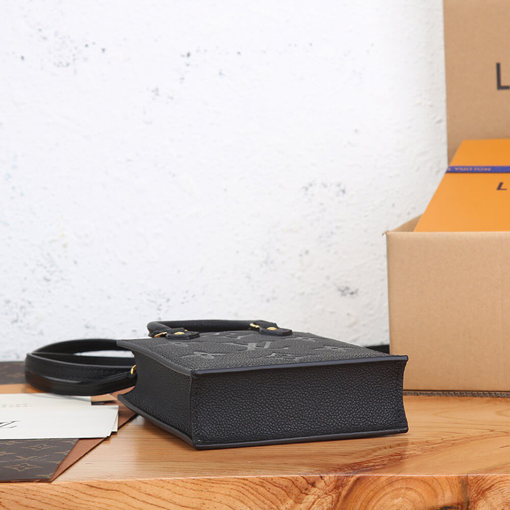 Louis Vuitton PETIT SAC PLAT