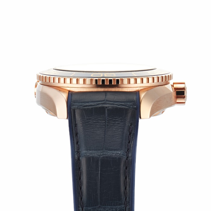 Seamaster Planet Ocean 600m Co-Axial 43.5mm Mens Watch