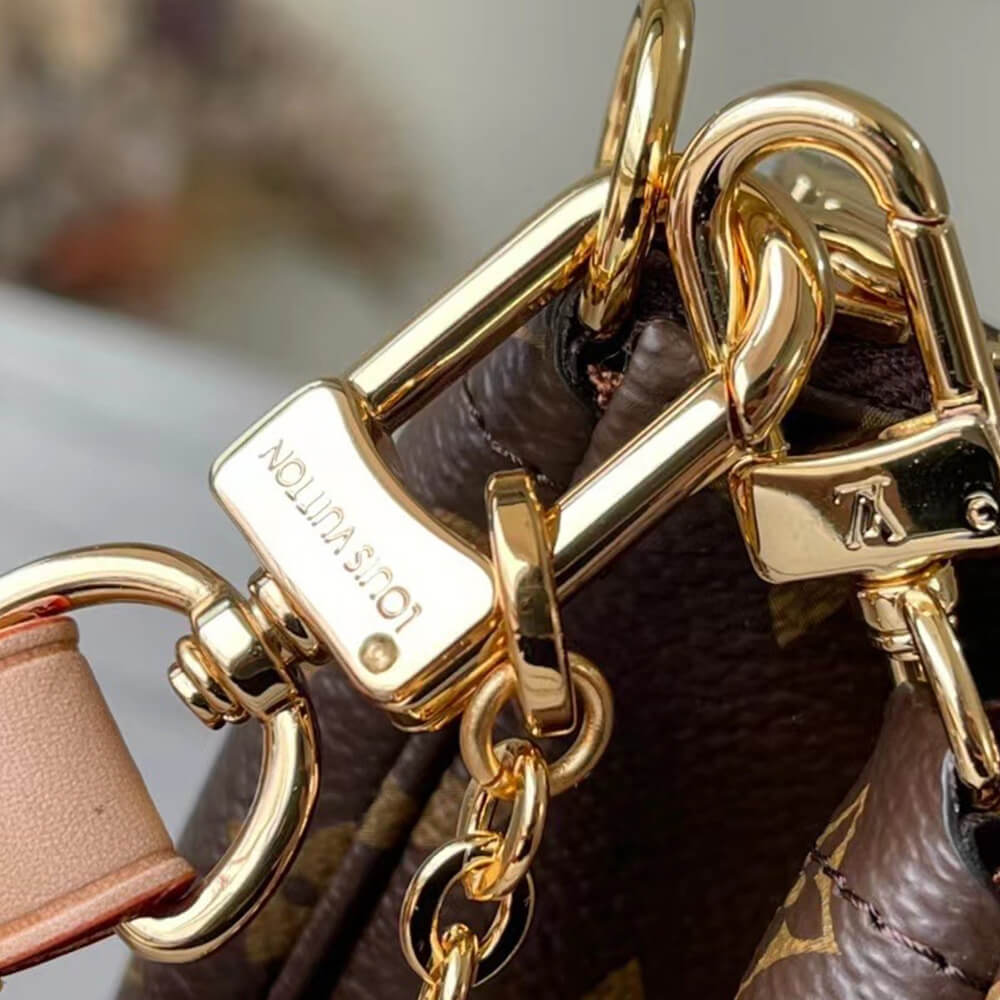 Louis Vuitton Louis Vuitton Multi Pochette Accessoires (4A)