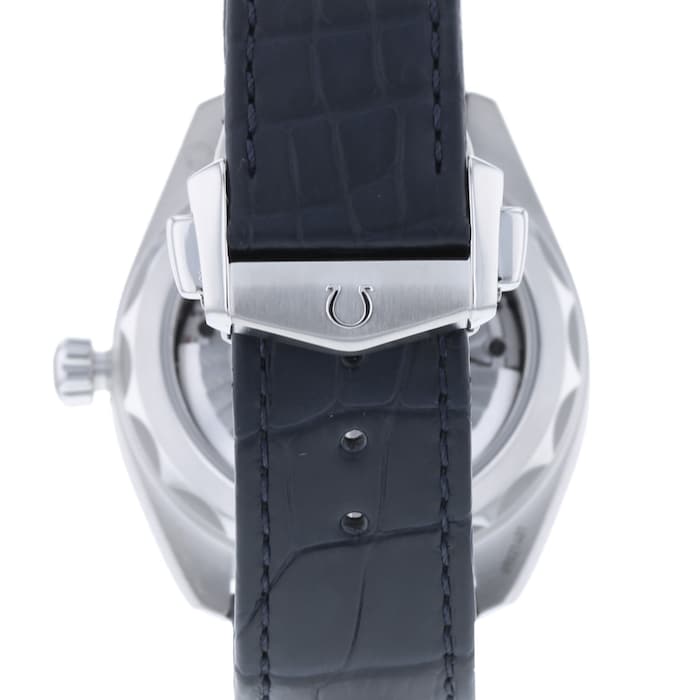 Seamaster Aqua Terra 150m Co-Axial 41mm Mens Watch