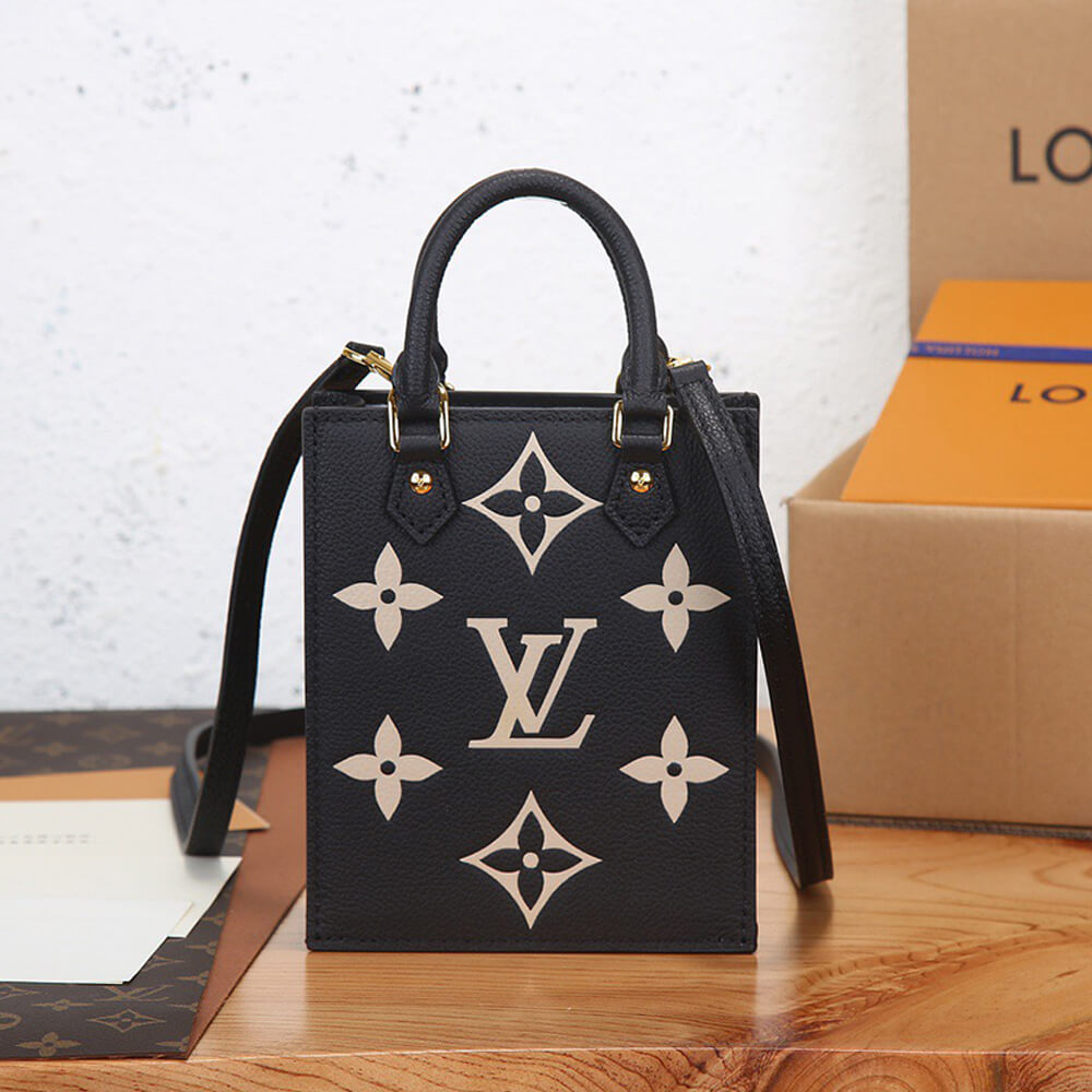 Louis Vuitton PETIT SAC PLAT