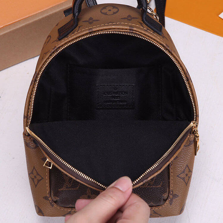 Louis Vuitton Palm Springs Mini Backpack