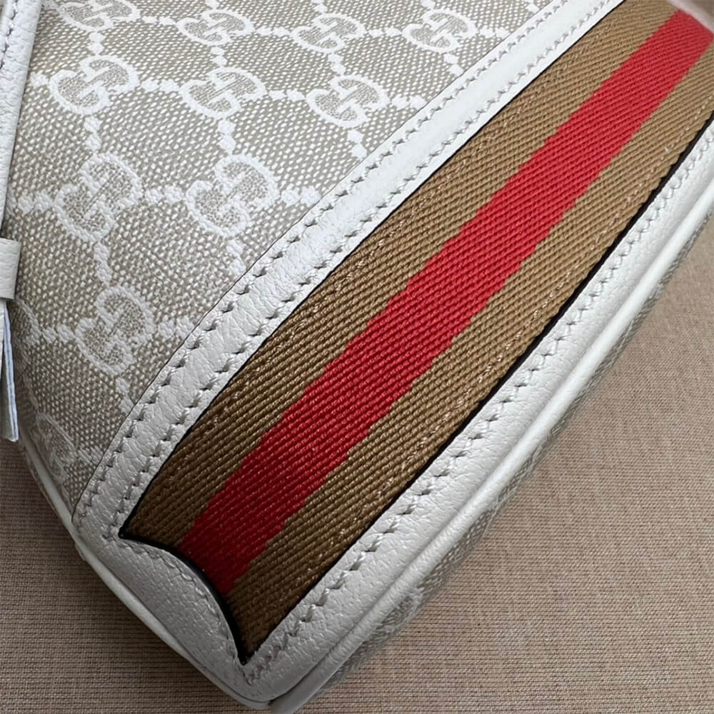 Louis Vuitton Ophidia small GG bucket bag