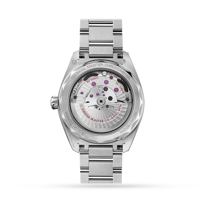 Seamaster Aqua Terra 41mm Mens Watch