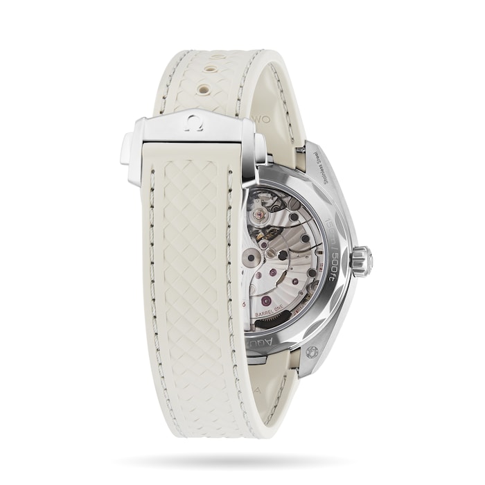 Seamaster Aqua Terra Co-Axial 41mm Mens Watch