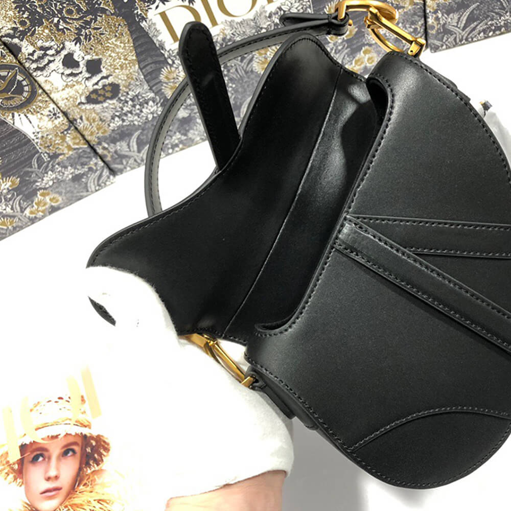 Dior Dior MINI SADDLE BAG