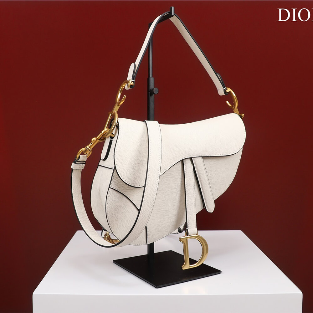 Dior SADDLE BAG WITH STRAP