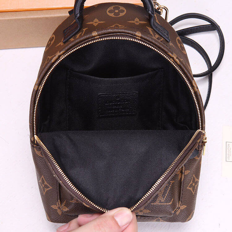 Louis Vuitton Palm Springs Mini Backpack