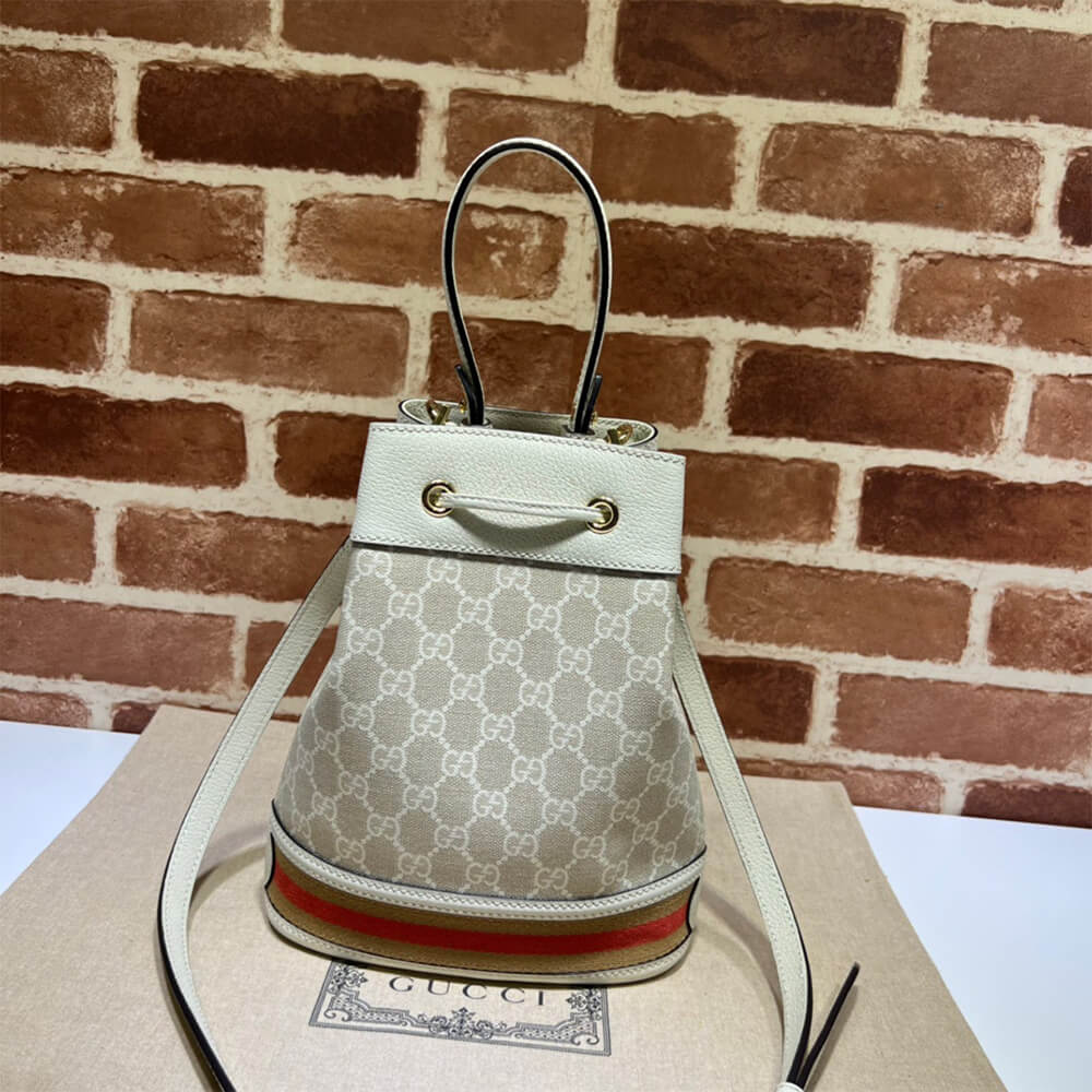 Louis Vuitton Ophidia small GG bucket bag