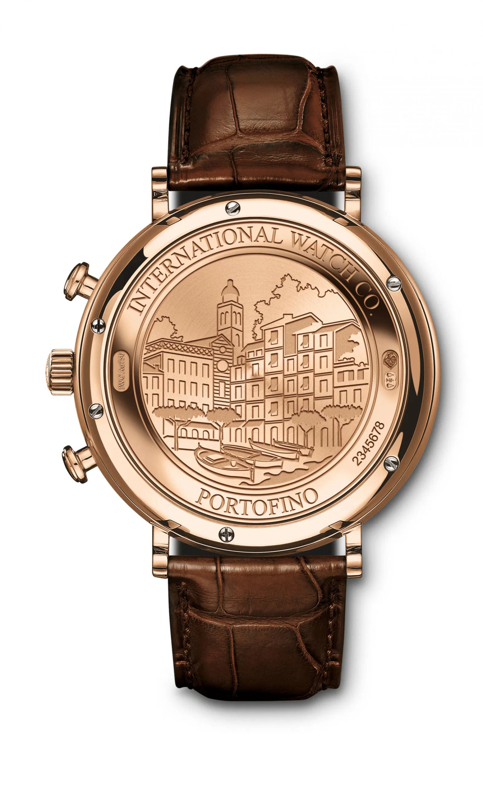 Portofino chronograph iw391020