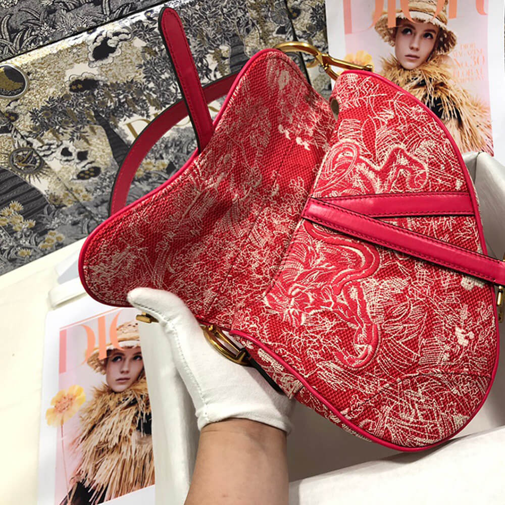 Dior Dior SADDLE BAG