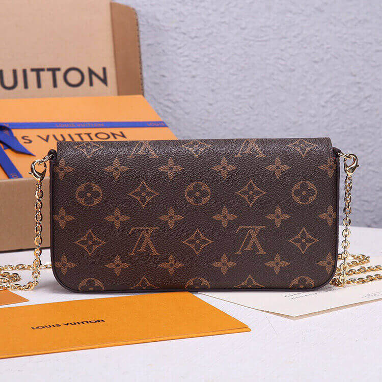 Louis Vuitton Felicie Pochette