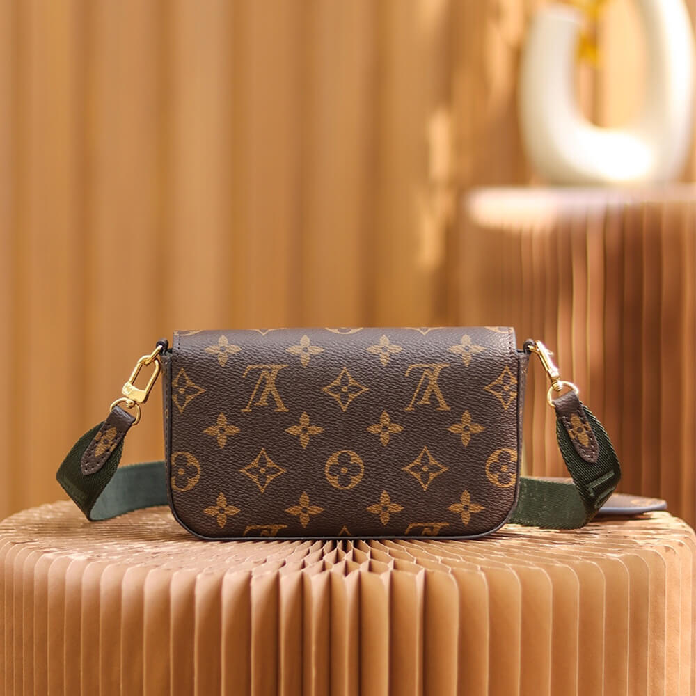 Louis Vuitton FéLICIE STRAP & GO