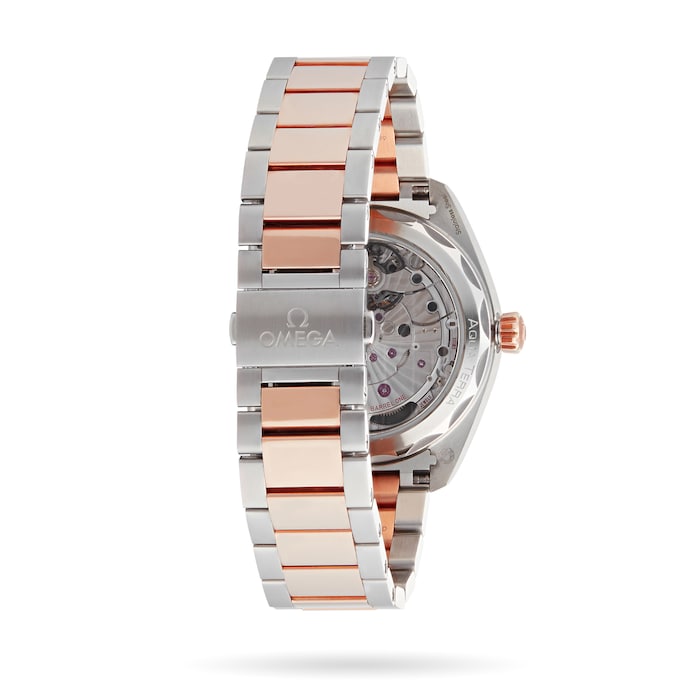 Seamaster Aqua Terra 150m Co-Axial 41mm Mens Watch