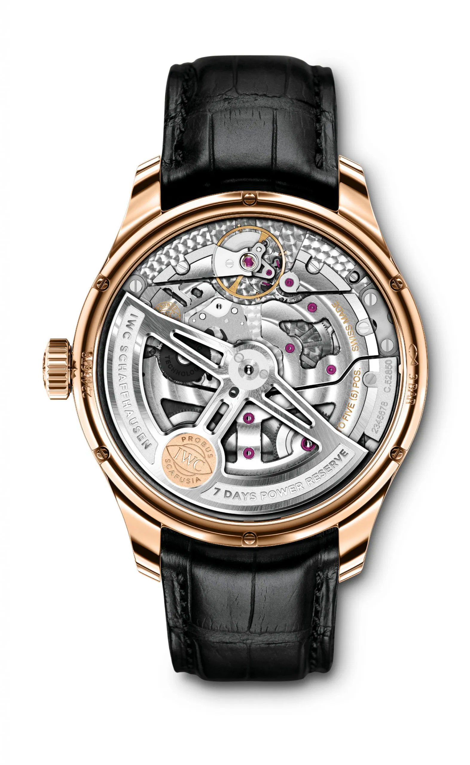 Schaffhausen Portugieser annual calendar iw503504