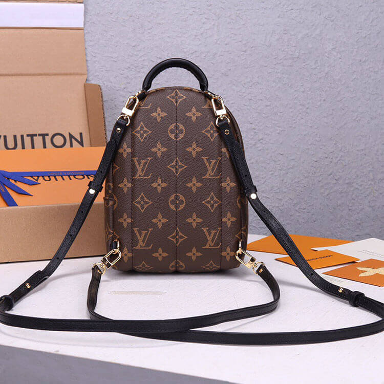 Louis Vuitton Palm Springs Mini Backpack