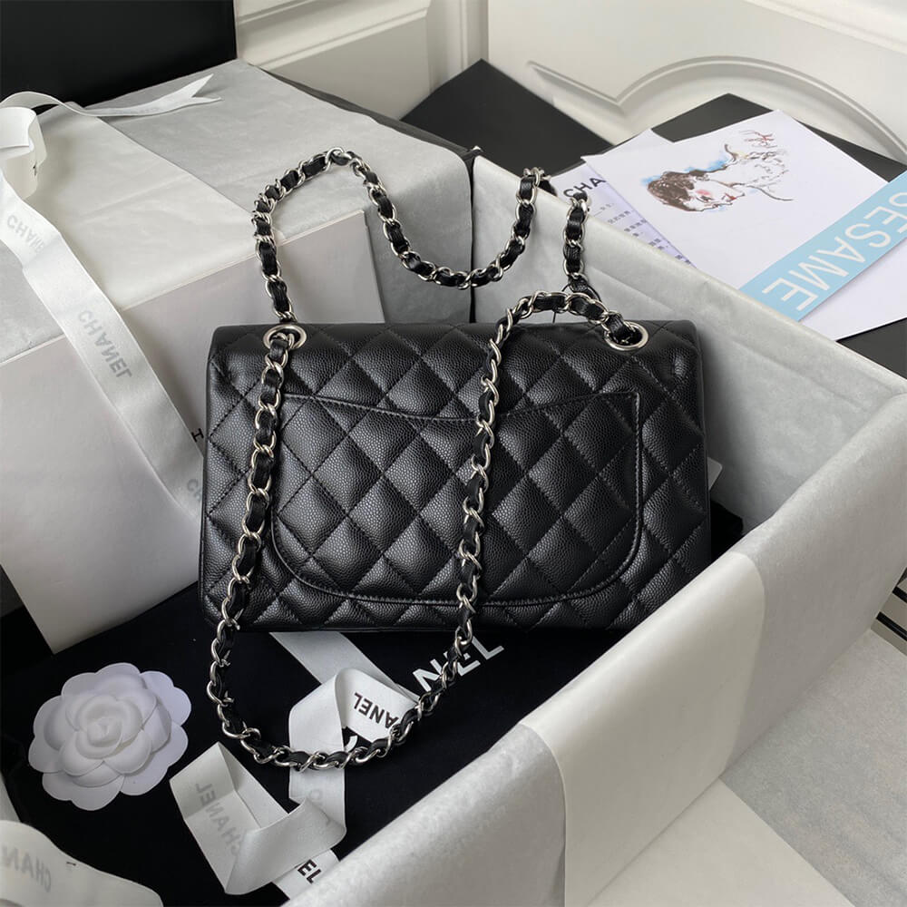 Chanel SMALL CLASSIC HANDBAG