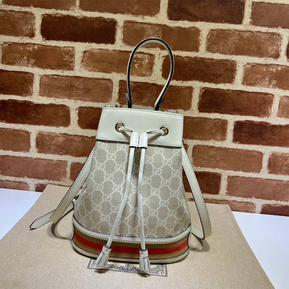 Louis Vuitton Ophidia small GG bucket bag