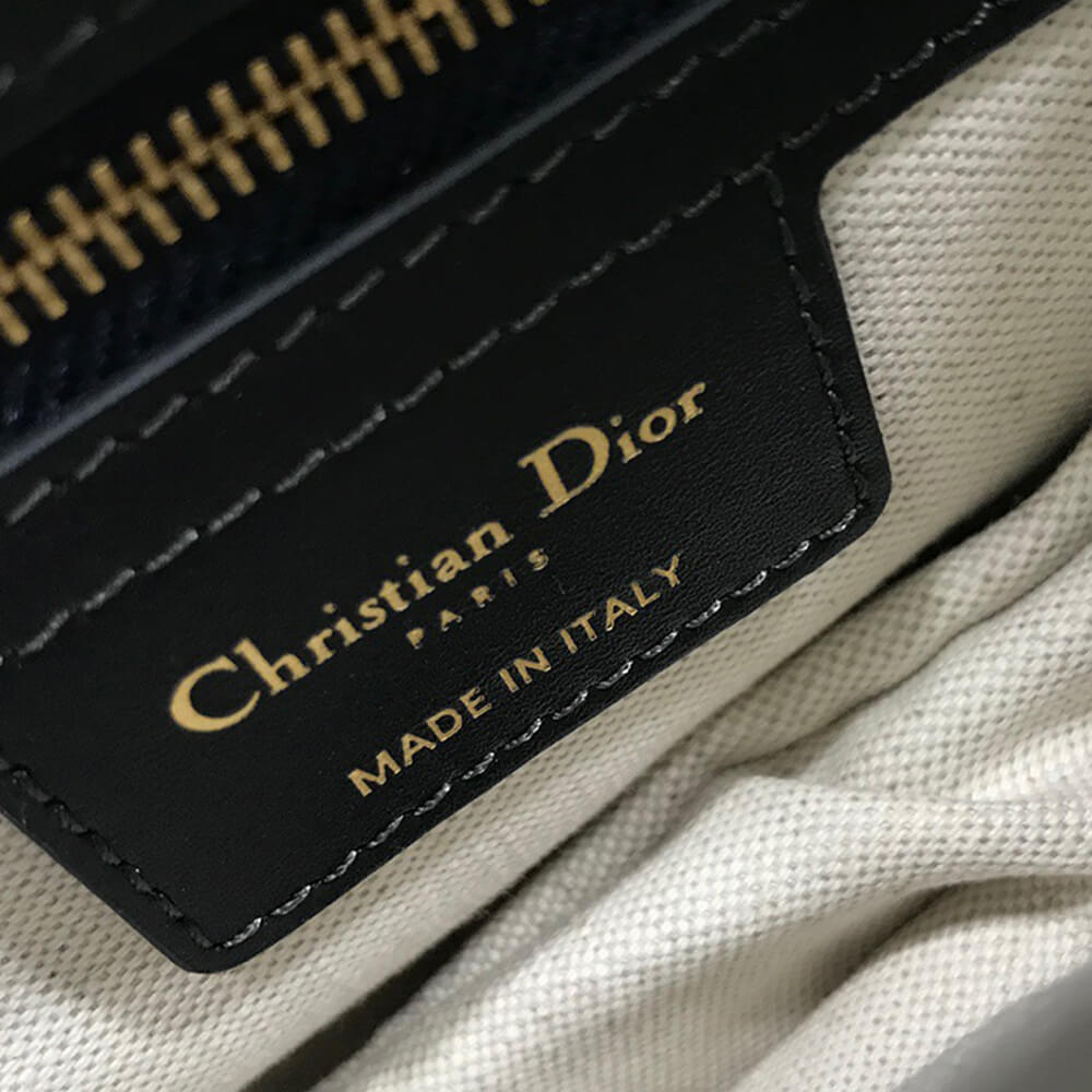 Dior Dior SADDLE BAG