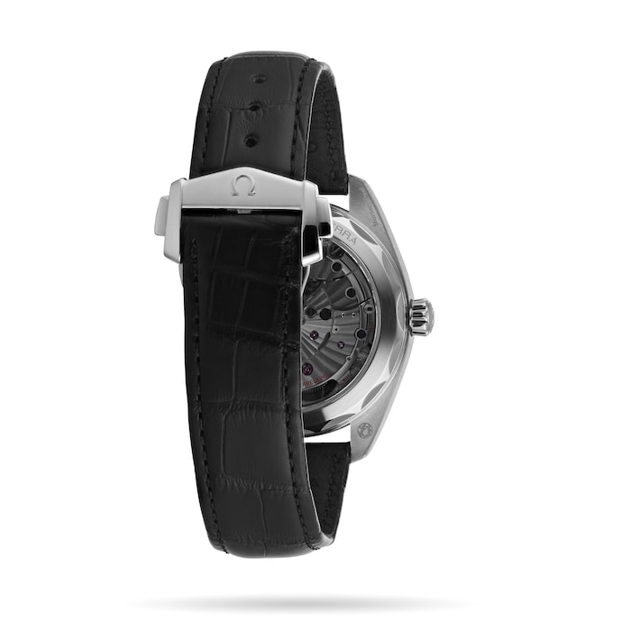 Seamaster Aqua Terra 150m Co-Axial 41mm Mens Watch