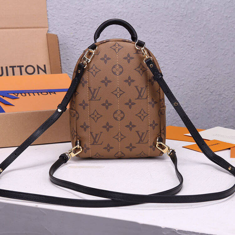 Louis Vuitton Palm Springs Mini Backpack