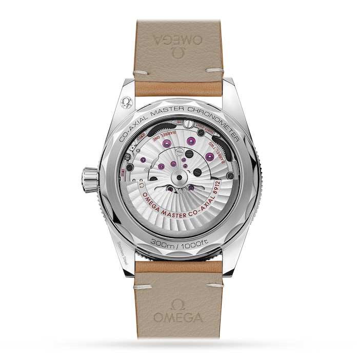 Seamaster 300 Co-Axial Master Chronometer 41mm Mens Watch