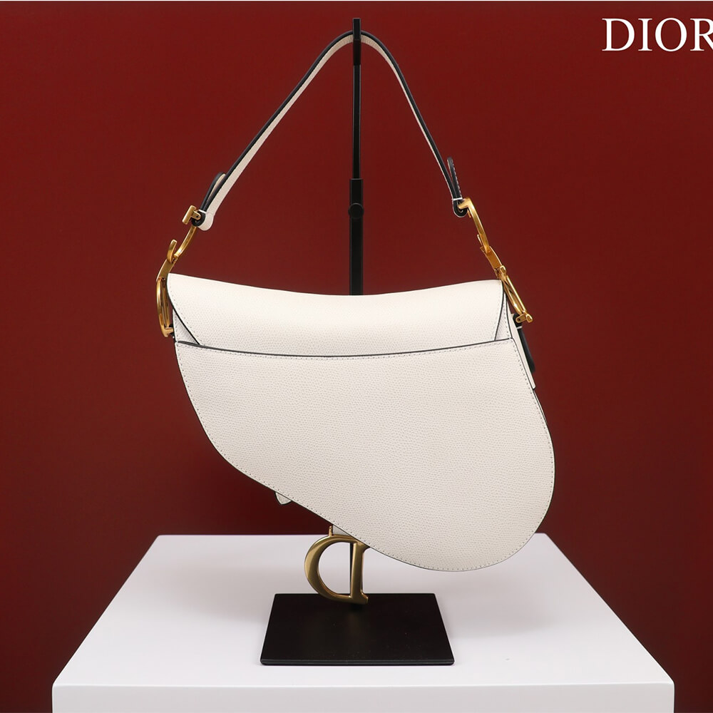 Dior SADDLE BAG WITH STRAP