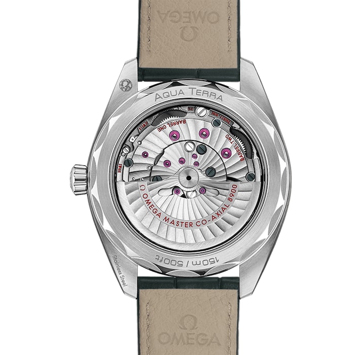 Seamaster Aqua Terra 150m Co-Axial 41mm Mens Watch