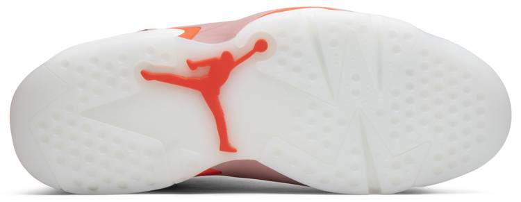 Air Jordan 6 Aleali May x Wmns  Retro 'Millennial Pink'