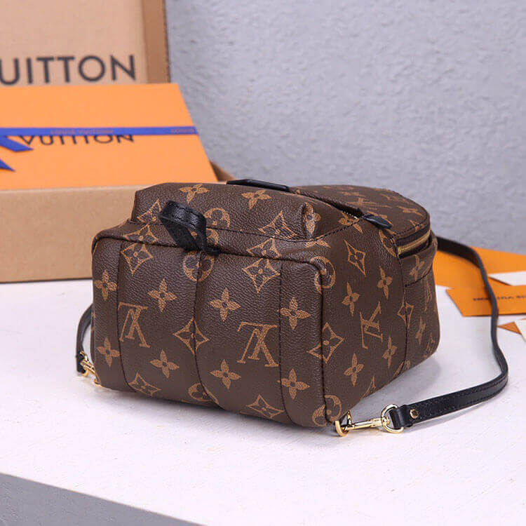 Louis Vuitton Palm Springs Mini Backpack