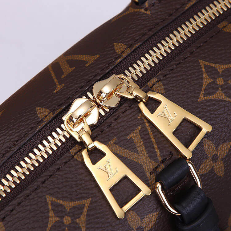 Louis Vuitton Petite Malle Souple Handbag