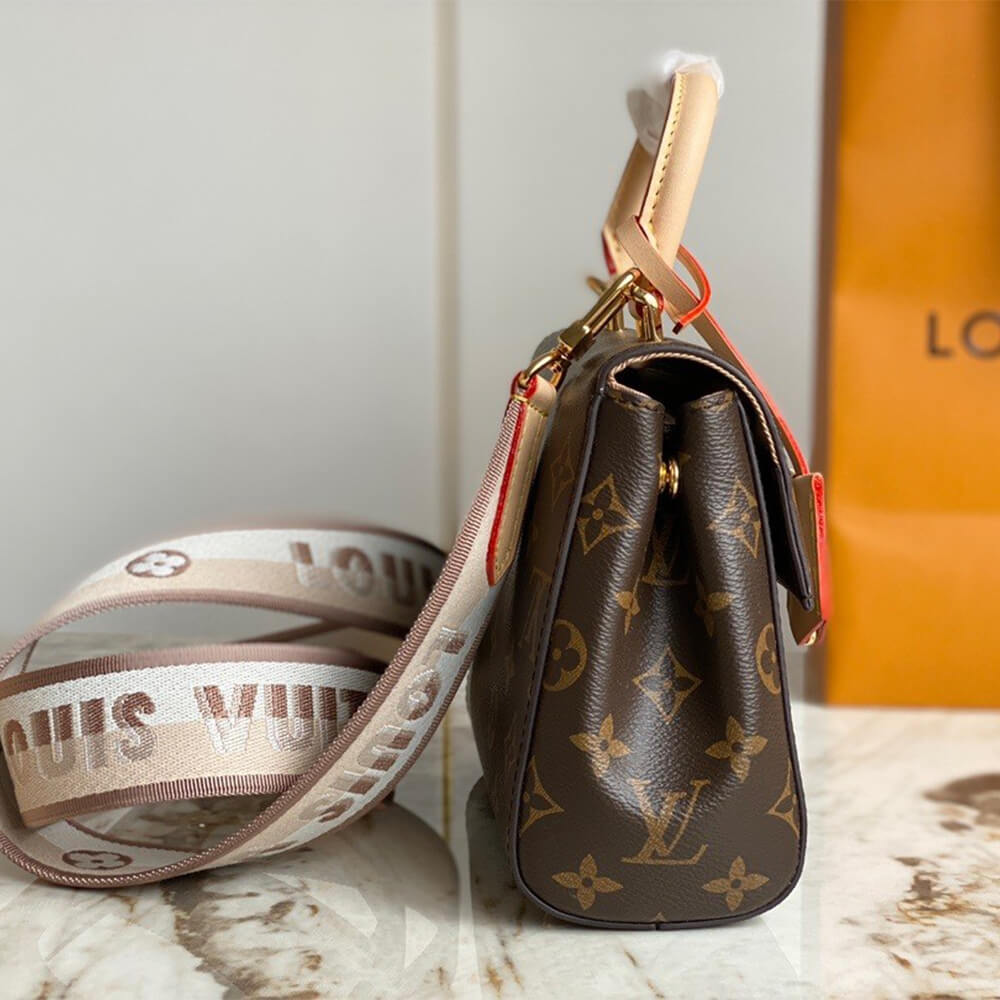 Louis Vuitton Cluny Mini