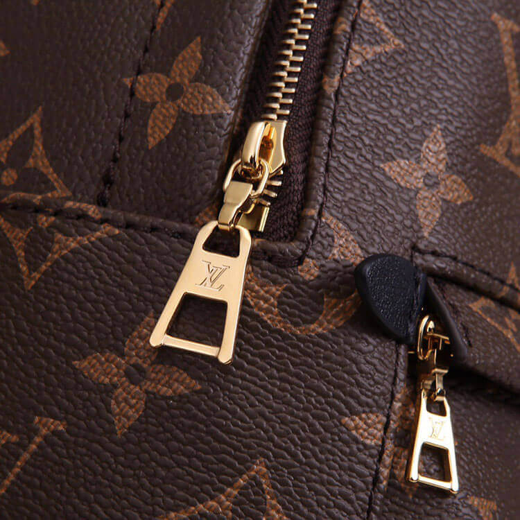 Louis Vuitton Palm Springs Mini Backpack