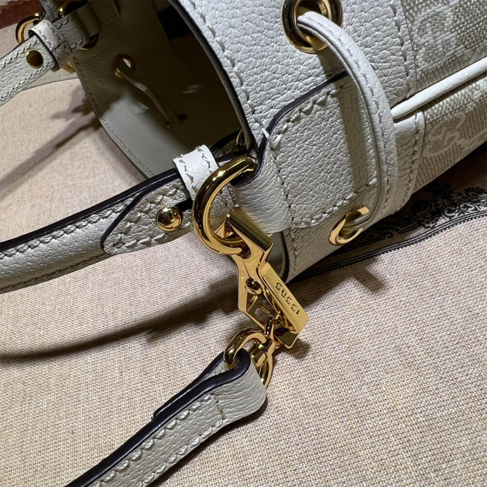 Louis Vuitton Ophidia small GG bucket bag