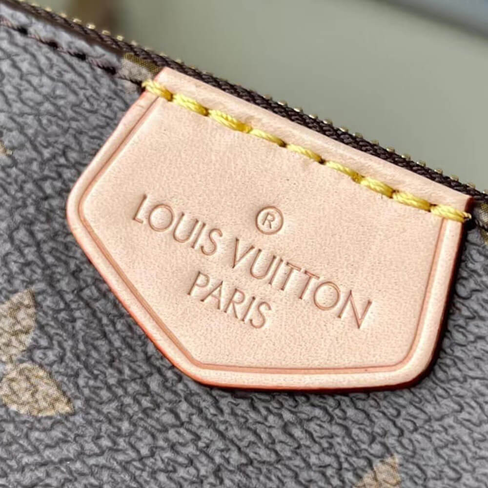 Louis Vuitton Louis Vuitton Multi Pochette Accessoires (4A)