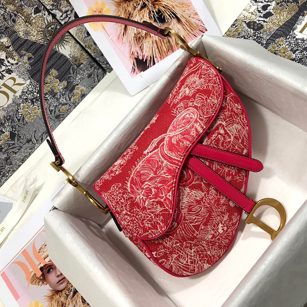 Dior Dior SADDLE BAG