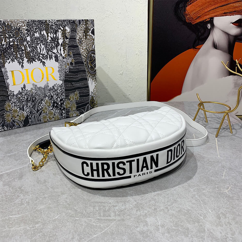 Dior MEDIUM DIOR VIBE HOBO BAG