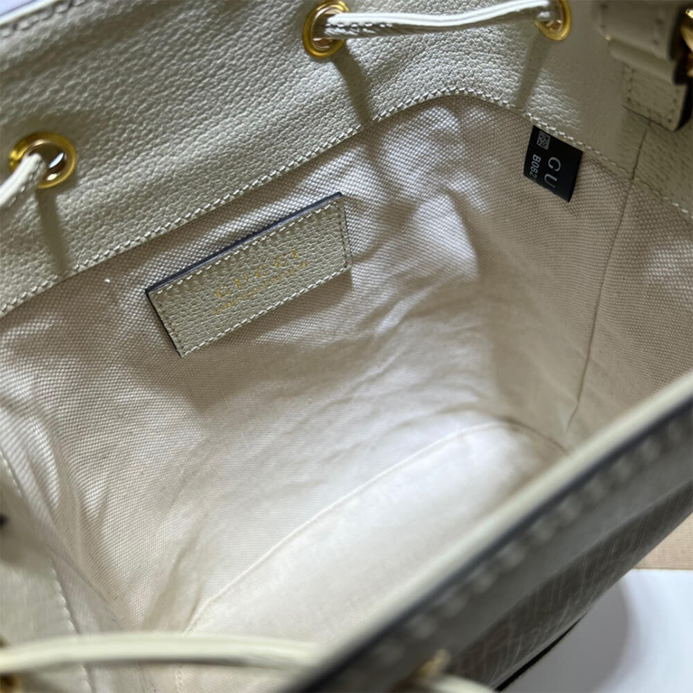 Louis Vuitton Ophidia small GG bucket bag