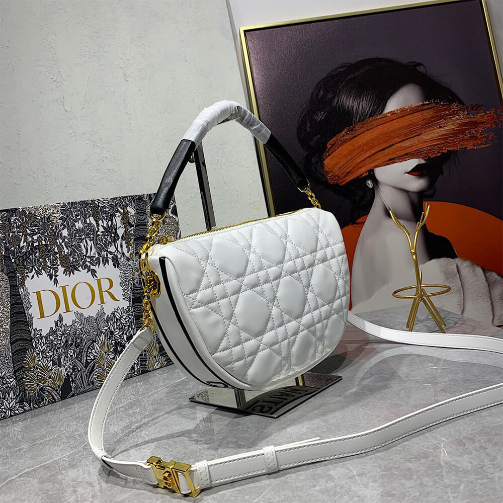 Dior MEDIUM DIOR VIBE HOBO BAG