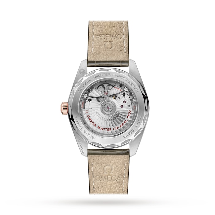 Seamaster Aqua Terra Small Seconds 38mm Ladies Watch