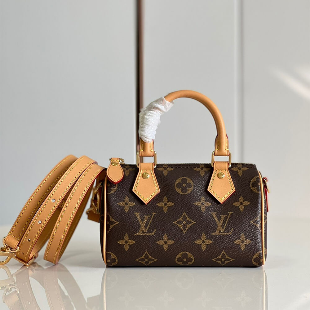 Louis Vuitton Nano Speedy