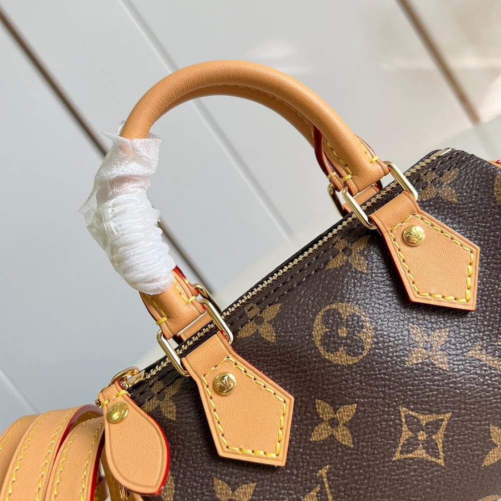 Louis Vuitton Nano Speedy